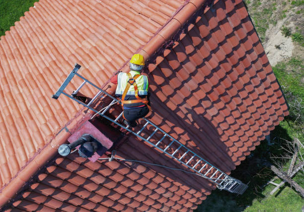 Best Roof Moss and Algae Removal  in Middletown, CA